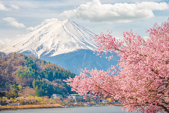 賞櫻賞景首推日本河口湖