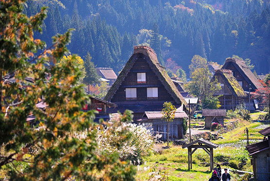 白川鄉合掌村