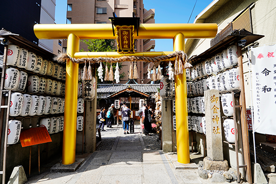 御金神社金色鳥居
