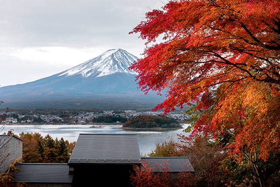 富士山紅葉秋景